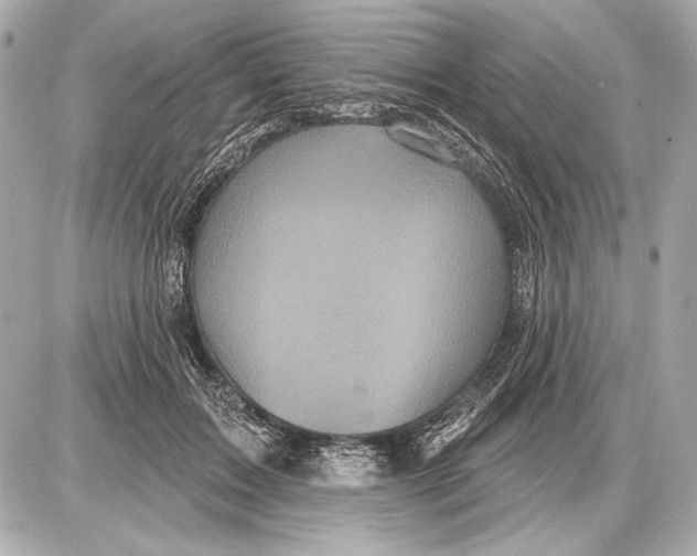 X0000085820603200704091634