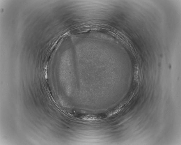 X0000085820604200704091634