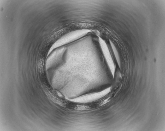 X0000085820605200704091634