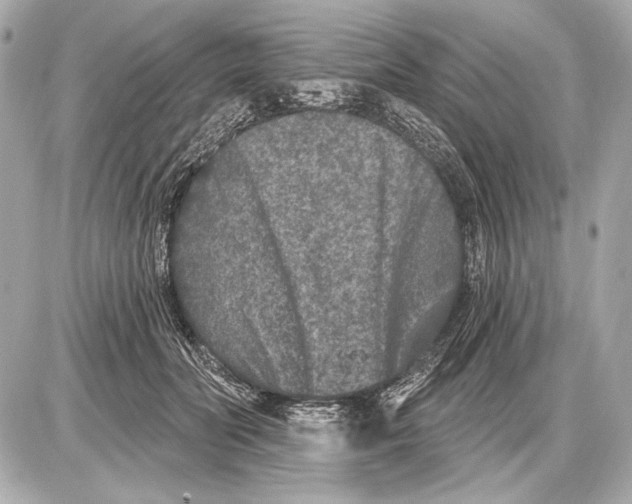 X0000085820606200704091634