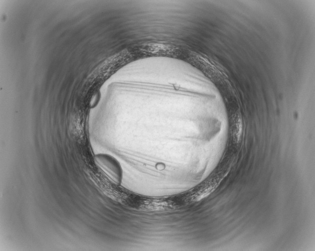 X0000085820607200704091634