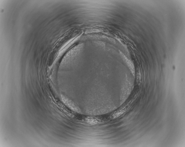 X0000085820608200704091634