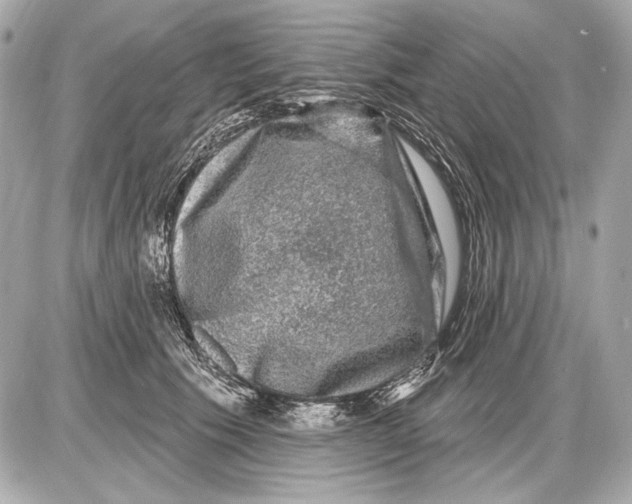 X0000085820609200704091634