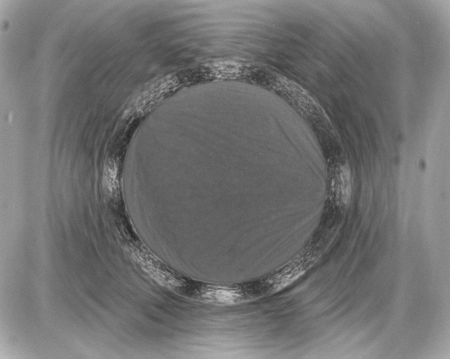 X0000085820610200704091634