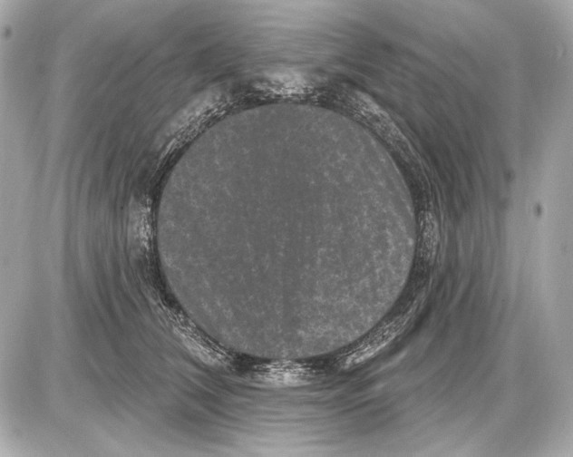 X0000085820612200704091634