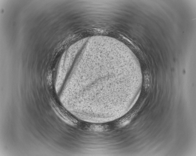 X0000085820613200704091634