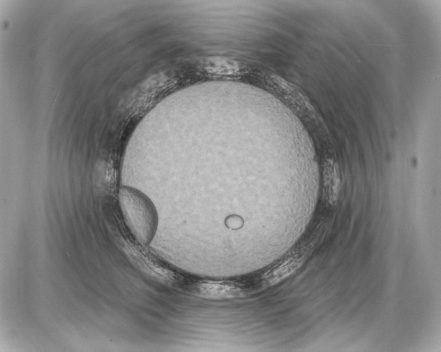 X0000085820614200704091634