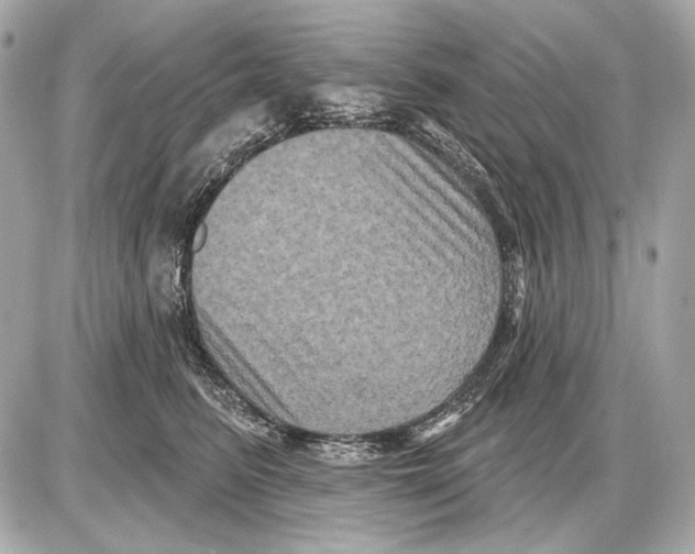 X0000085820615200704091634