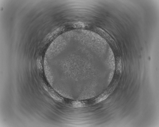 X0000085820616200704091634