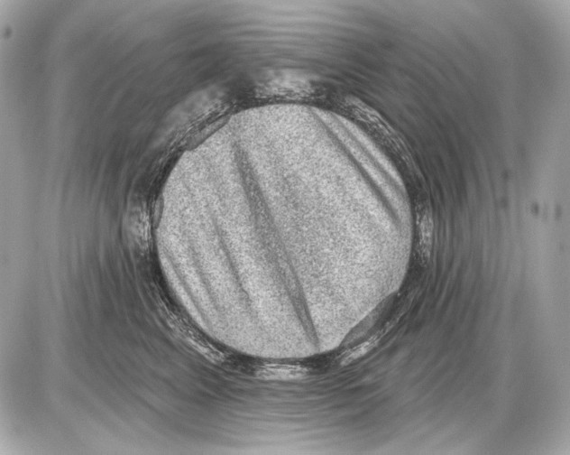 X0000085820617200704091634