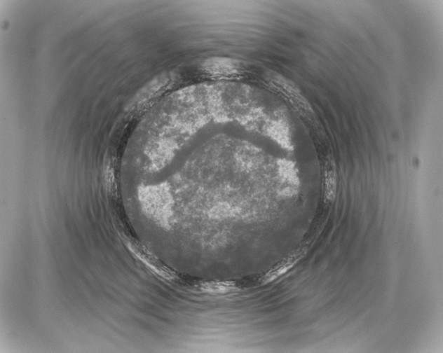 X0000085820618200704091634