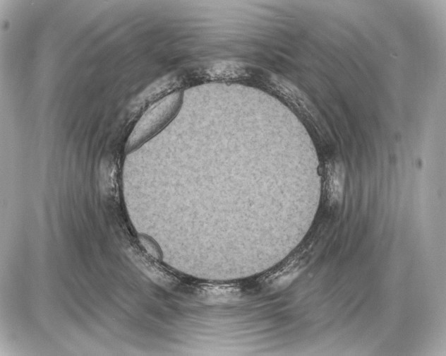 X0000085820619200704091634