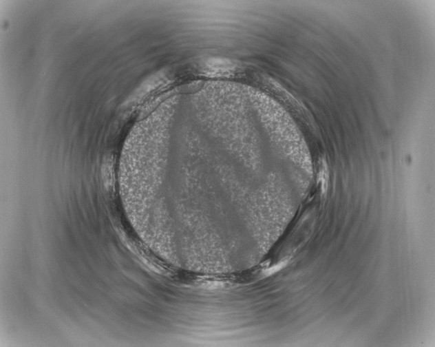 X0000085820620200704091634