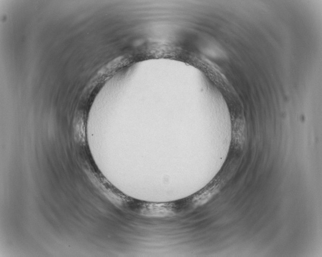 X0000085820622200704091634