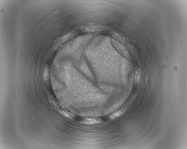 X0000085820623200704091634