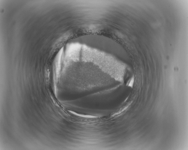 X0000085820624200704091634