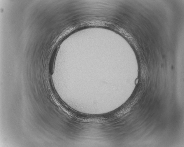 X0000085820625200704091633