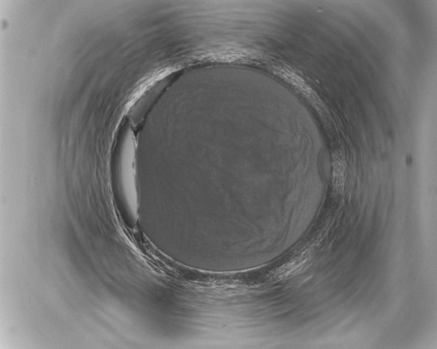 X0000085820626200704091633