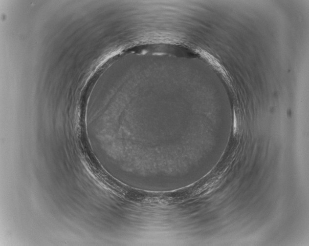 X0000085820627200704091633