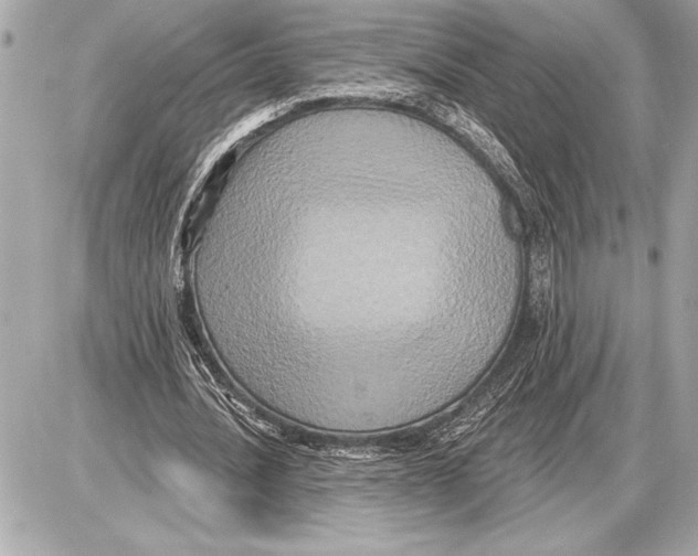 X0000085820628200704091633