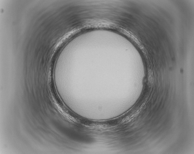 X0000085820629200704091633