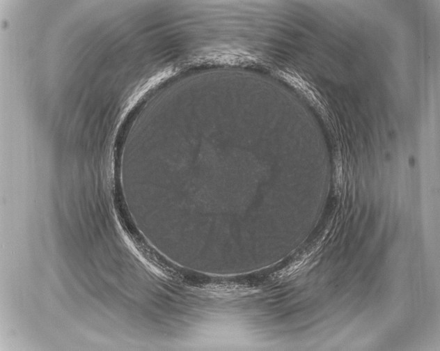 X0000085820630200704091633