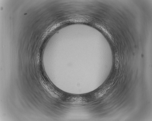 X0000085820631200704091633