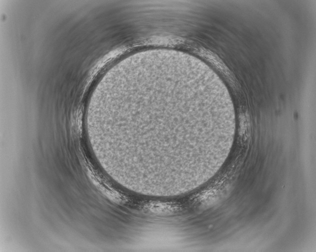 X0000085820632200704091633