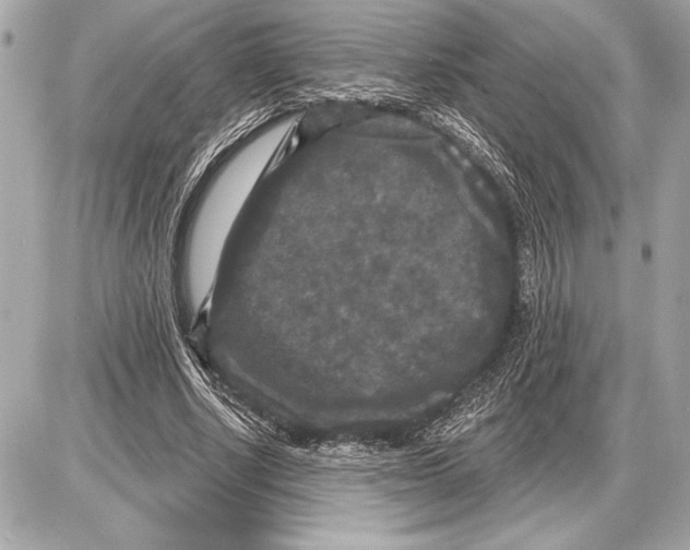 X0000085820634200704091633