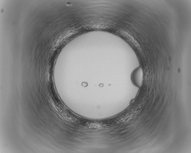 X0000085820635200704091633