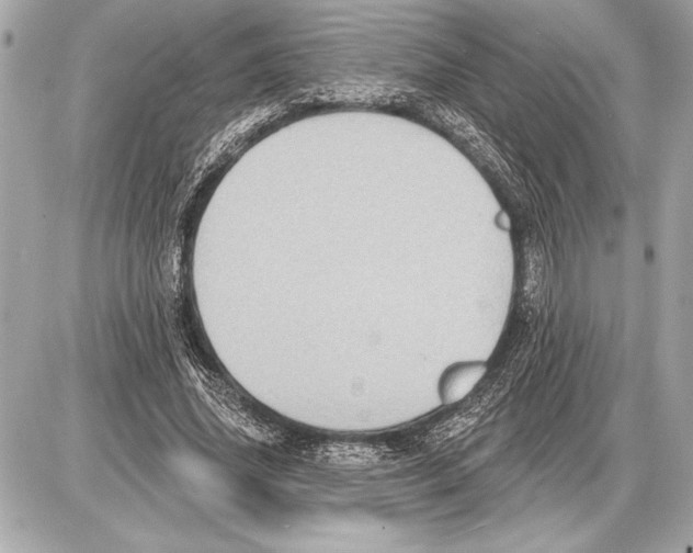 X0000085820636200704091633