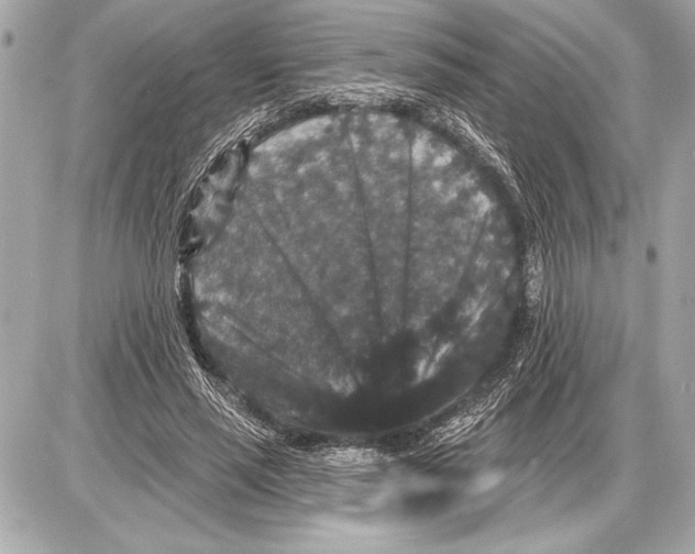 X0000085820637200704091633