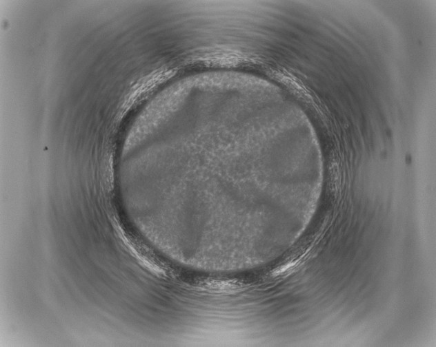 X0000085820638200704091633