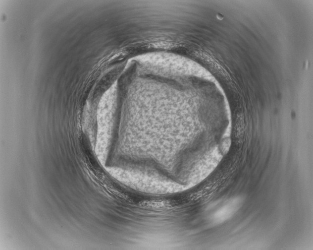 X0000085820639200704091633