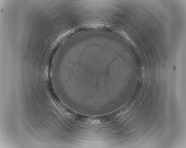 X0000085820640200704091633