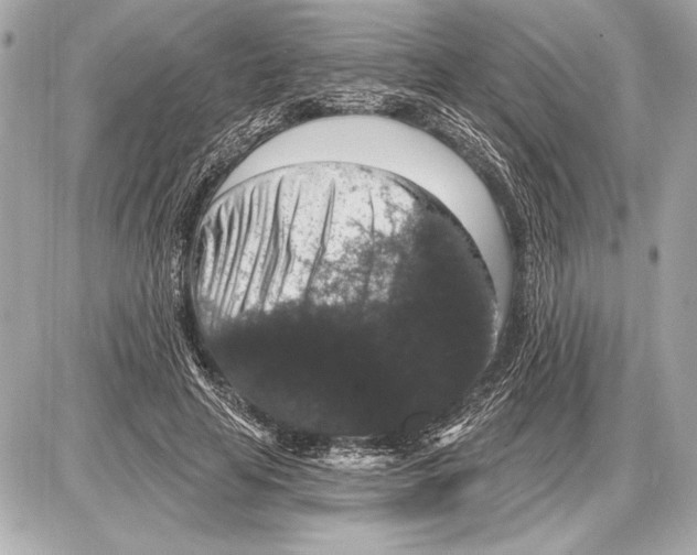 X0000085820641200704091633