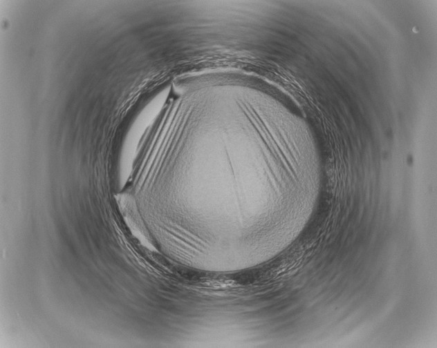 X0000085820642200704091633