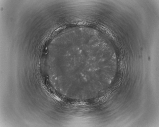 X0000085820643200704091633