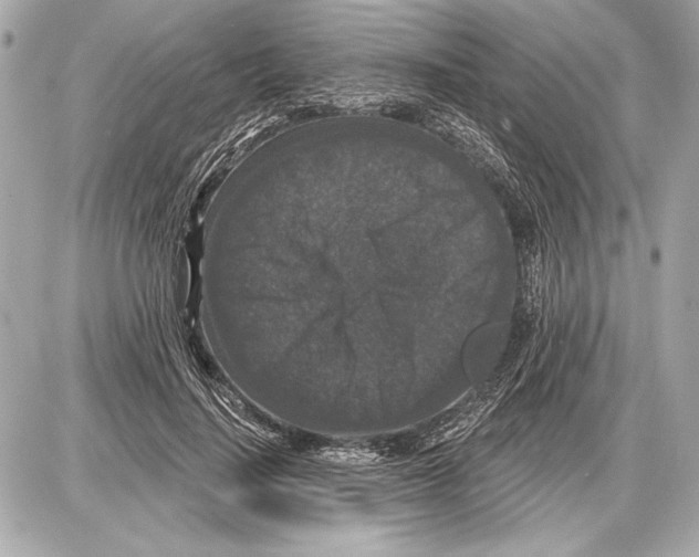 X0000085820644200704091633