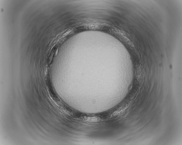 X0000085820645200704091633