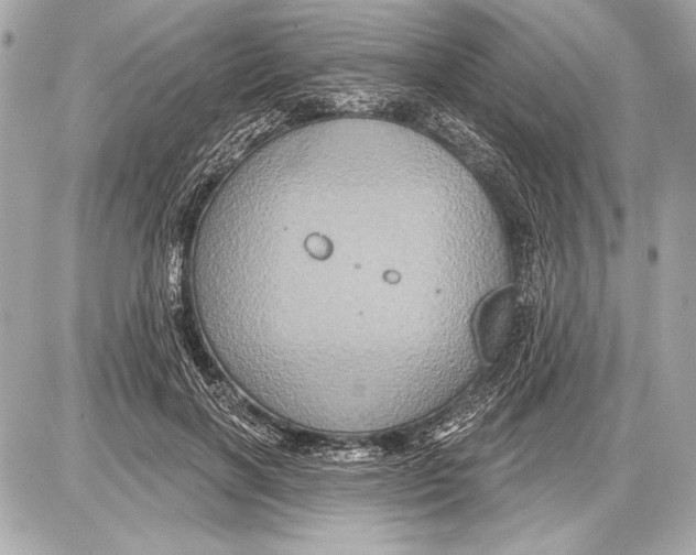 X0000085820646200704091633