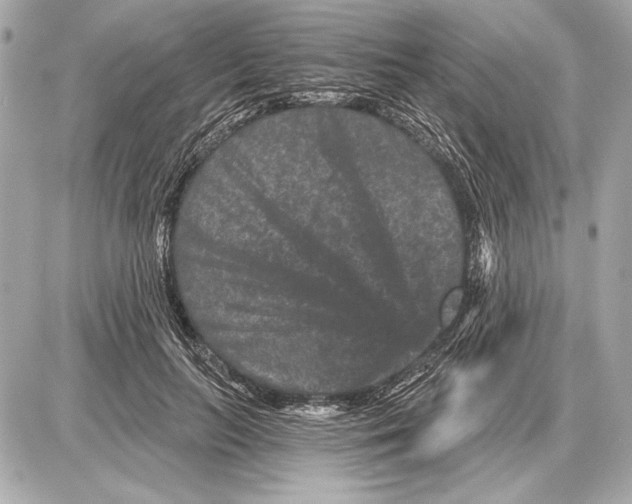 X0000085820647200704091633