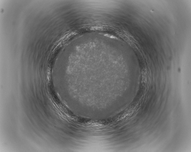 X0000085820648200704091633