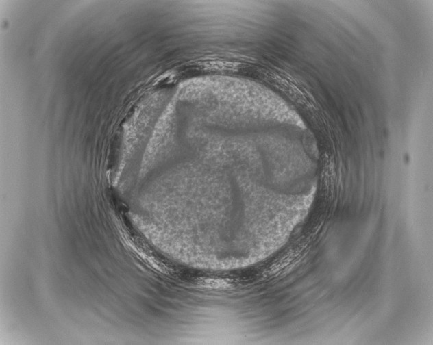 X0000085820649200704091633