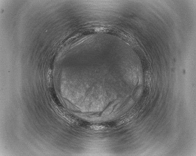 X0000085820650200704091633