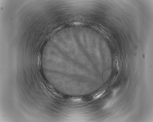 X0000085820651200704091633