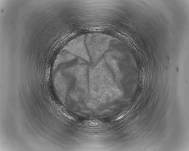 X0000085820652200704091633