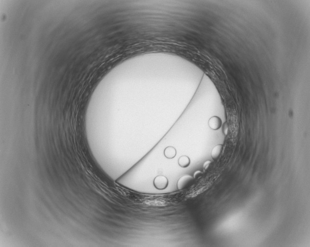 X0000085820653200704091633