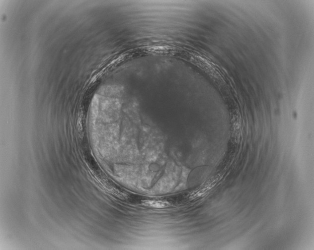 X0000085820654200704091633