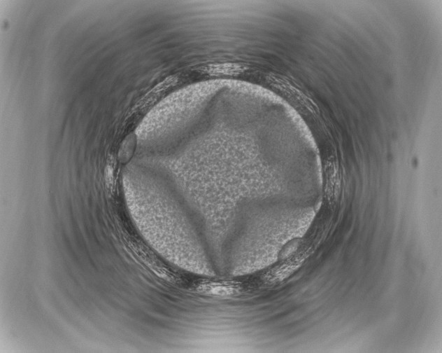 X0000085820655200704091633